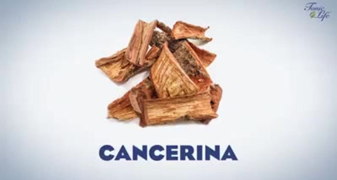 GANFICOL Nuevo producto Tonic Life